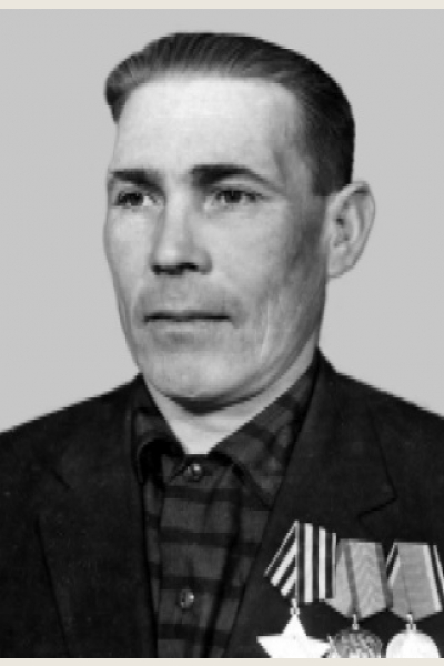 Николаев Владимир Николаевич