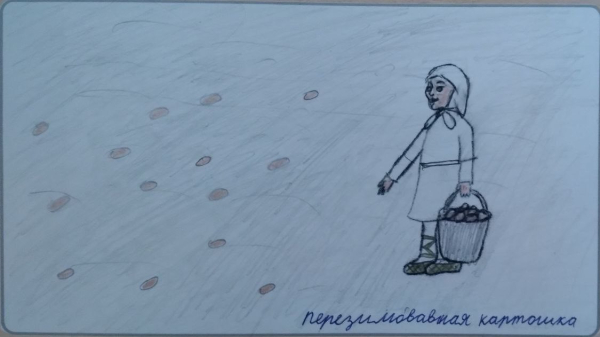 Перезимовавшая картошка