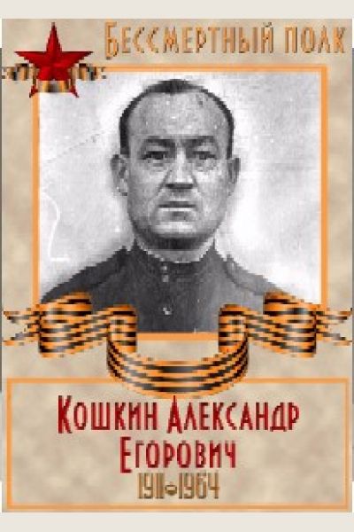 Кошкин Александр Егорович