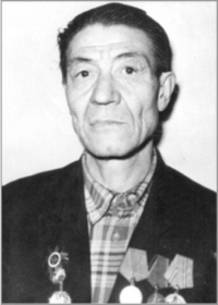 Никитин Василий Николаевич