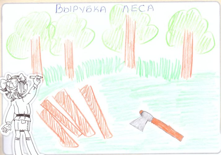 Вырубка леса
