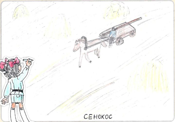 Сенокос